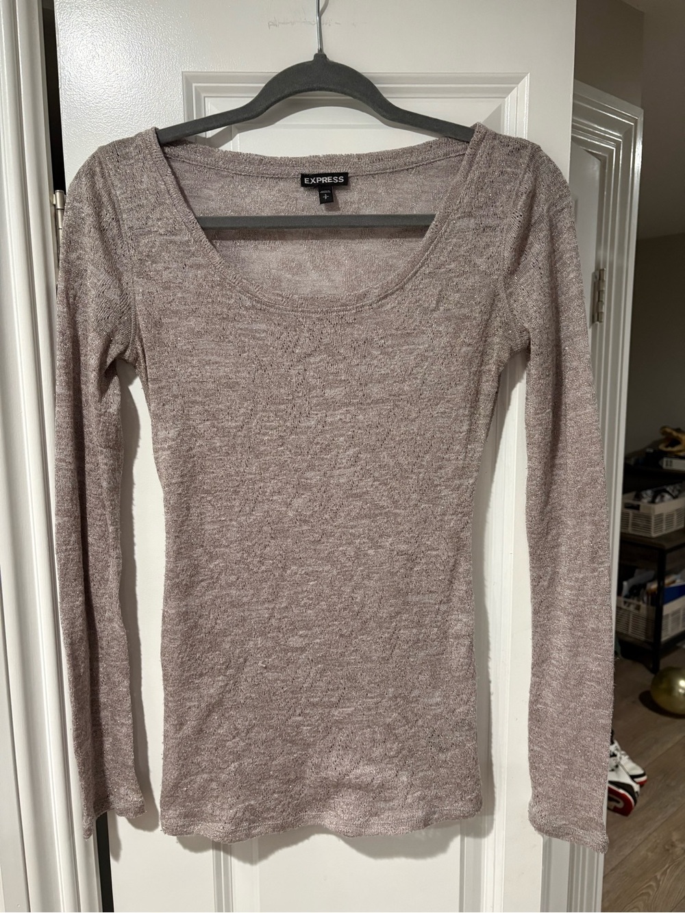 Express Metallic Taupe Sheer Long-Sleeve Top